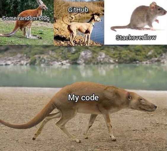 My Code